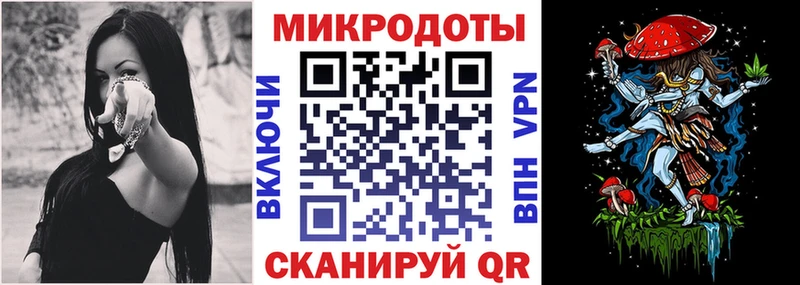 Псилоцибиновые грибы прущие грибы  Пучеж 